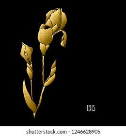 Decorative iris flowers, design elements. Can be used for cards, invitations, banners, posters, print design. Golden flowers