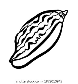 Decorative isolated black and white elegant illustration design of lined seashell. The design is perfect for stickers, badges, cards, decorations, logos, packaging, tattoos.