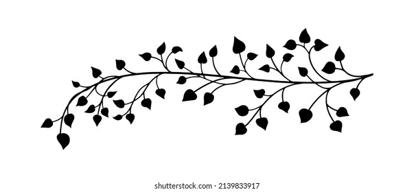 Decorative ivy vine design element, minimalistic vector of leaves in outline, plant stem or tree branch clip-art, pretty curving floral design isolated on white background