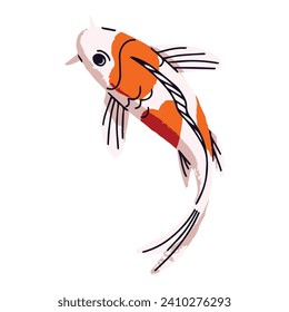 Decorative Japanese carp top view. Koi with orange spots on scales. Cute colorful Asian fish floating in water. Oriental ornamental pond animal. Flat isolated vector illustration on white background