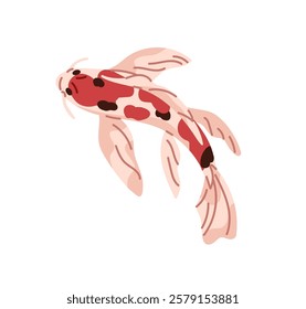 Decorative Japanese carp top view. Patterned Koi with red spots on scales. Traditional Asian pond fish, Nishikigoi. Oriental, Chinese floating animal. Flat isolated vector illustration on white