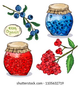 Decorative jars with jam. Pickles. Blanks for the winter. Hand drawing. For your design.