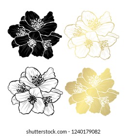 Decorative jasmine flowers, design elements. Can be used for cards, invitations, banners, posters, print design. Golden flowers