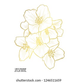 Decorative jasmine flowers, design elements. Can be used for cards, invitations, banners, posters, print design. Golden flowers