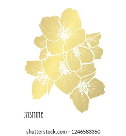 Decorative jasmine flowers, design elements. Can be used for cards, invitations, banners, posters, print design. Golden flowers