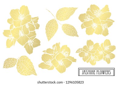 Decorative jasmine  flowers, design elements. Can be used for cards, invitations, banners, posters, print design. Golden flowers