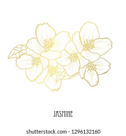 Decorative jasmine flowers, design elements. Can be used for cards, invitations, banners, posters, print design. Golden flowers