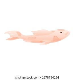 Decorative koi carp icon. Cartoon of decorative koi carp vector icon for web design isolated on white background