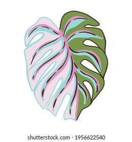 Decorative leaf monstera on white background. Abstract colorful sketch tropical leaf. Vector illustration design.