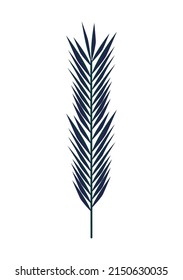 decorative leaf palm tropical icon