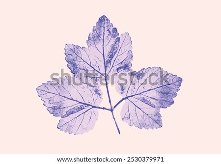 Decorative leaf print. Monotone pink and blue botanical impression print.
