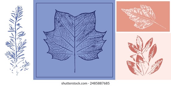 Decorative leaf prints or leaf art. Monotone pink and blue botanical leaf illustrations print.