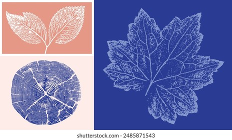 Decorative leaf prints and wood block prints. Monotone pink and blue botanical impression tree rings print.