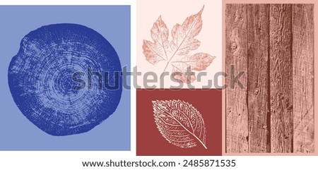 Decorative leaf prints and wood block prints. Monotone pink and blue botanical impression tree rings print.