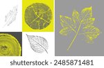 Decorative leaf silhouette prints and wood block prints. Monotone florescent yellow and gray botanical tree rings impression print.