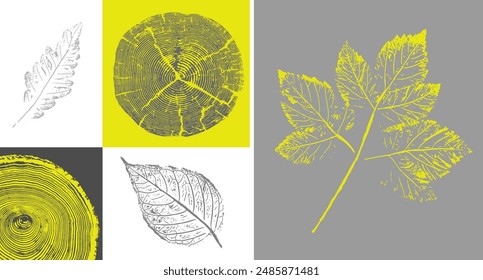 Decorative leaf silhouette prints and wood block prints. Monotone florescent yellow and gray botanical tree rings impression print.