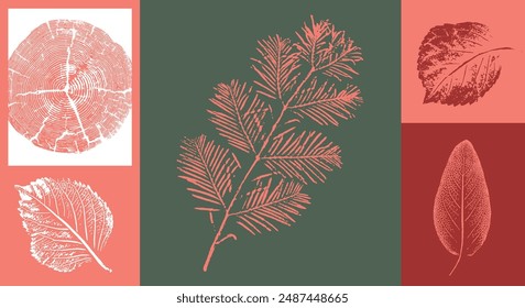 Decorative leaf silhouette prints and wood block prints. Monotone pink and green botanical tree rings impression print.