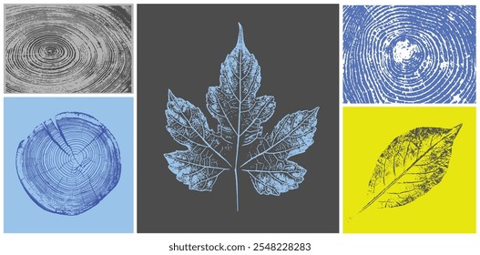 Decorative leaf silhouette prints and wood block prints. Monotone florescent yellow and gray botanical tree rings impression print.