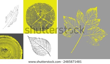 Image, Stock Photo Spring impression Flower