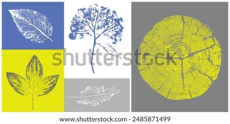Similar – Image, Stock Photo Spring impression Flower
