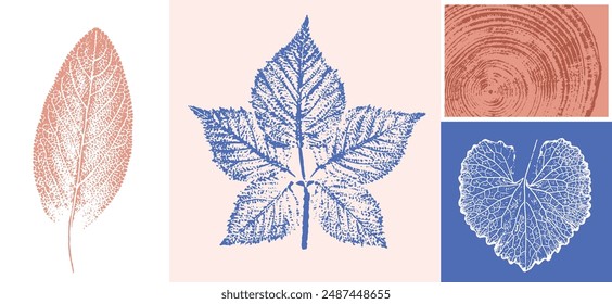 Decorative leaf sketch and wood block prints. Monotone pink and blue botanical tree rings and leaves impression print.