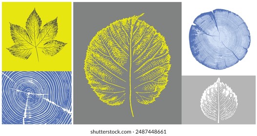 Decorative leaf sketch and wood block prints. Monotone yellow blue and gray botanical tree rings and leaves impression print.