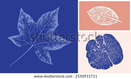 Decorative leaf sketch and wood block prints. Monotone pink and blue botanical tree rings and leaves impression print.