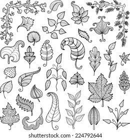 decorative leaves