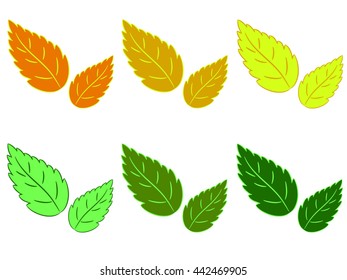decorative leaves