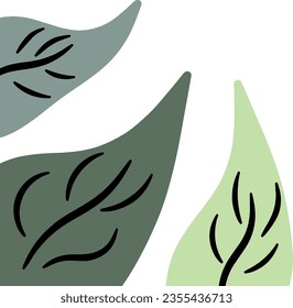 
Hojas decorativas de formas estéticas