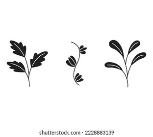 decorative leaves and branch set vector illustration