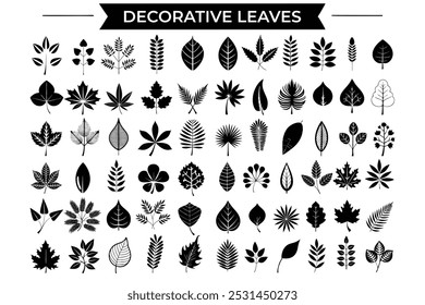 Decorative leaves eps vector collection