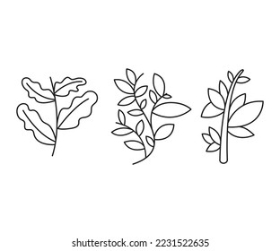 decorative leaves icons set vector line illustration