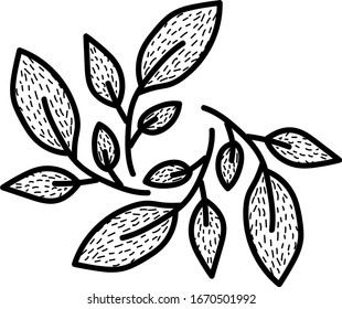Decorative leaves, illustration, vector on white background.
