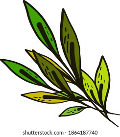 Decorative leaves, illustration, vector on white background.