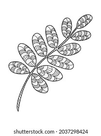Decorative leaves. The plant is decorated with a pattern. Design element for print, label, logo, packaging template. Coloring. Vector outline illustration