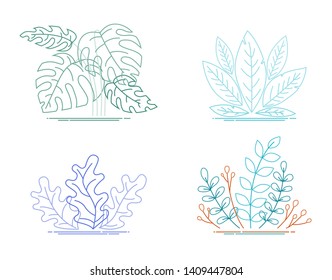 Decorative Leaves Plant set. Color Flat Line Stroke fantasy leaves
