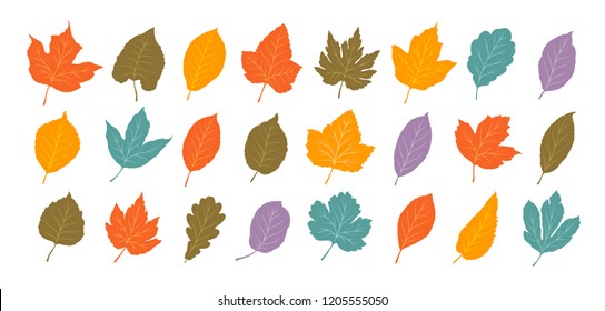 Decorative Leaves, Set. Autumn, Leaf Fall Concept. Cartoon Vector Illustration