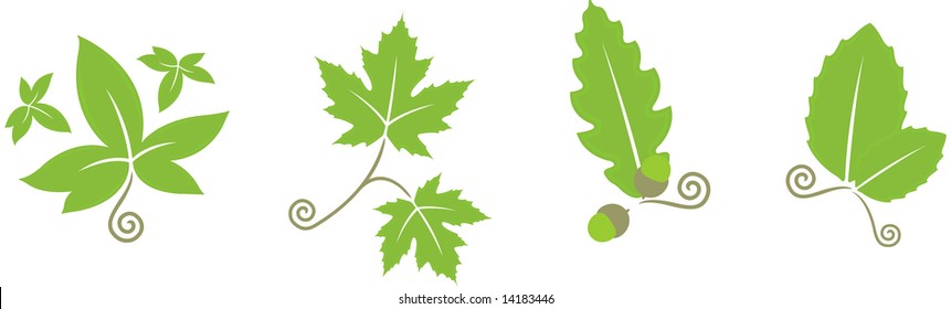 decorative leaves, vector illustration