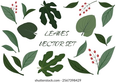 Decorative leaves vector set featuring various plant types and berry accents for design projects