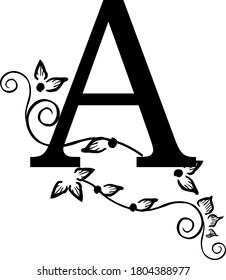 dekorativer Buchstabe A mit Mustern und Blumen