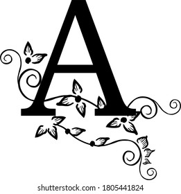 dekorativer Buchstabe A mit Mustern und Blumen