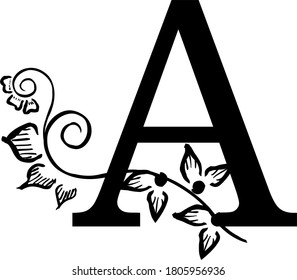 dekorativer Buchstabe A mit Mustern und Blumen
