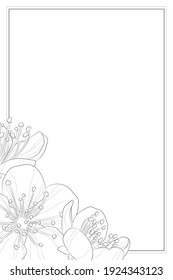 Fondo de luz decorativa con flor de cerezo (sakura). Diseño de plantilla de tarjeta. Ilustración vectorial.