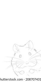 Fondo claro decorativo con un bonito hamster. Diseño de plantilla de tarjeta. Ilustración vectorial.