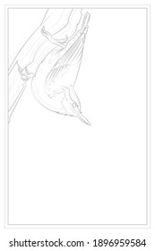 Decorative light background with eurasian nuthatch or wood nuthatch (Sitta europaea). Card template design. Vector illustration.