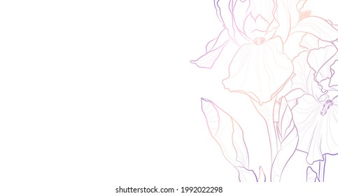 Fondo de luz decorativa con flores de iris. Diseño de plantilla de tarjeta. Ilustración vectorial.