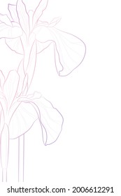 Decorative light background with iris flowers. Card template design. Vector illustration.