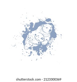 Fondo de luz decorativa con oso polar y salpicaduras. Diseño de plantilla de tarjeta. Ilustración vectorial.