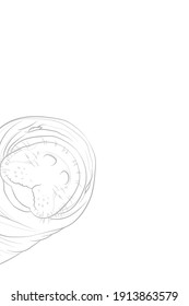 Fondo de luz decorativa con cabeza manatí. Diseño de plantilla de tarjeta. Ilustración vectorial.